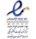 لوگو اینماد نایس وود